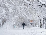 ��������� ��������� ������� ��������� ����