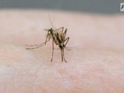 � ��������� ���� �������� ������� �� ������ ���������� �����