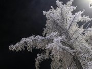 ������ ������� ������������ �������