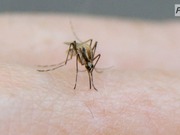 ������� ������������ ����� ���������� �� ��������� ����������