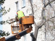 ������������ �������� �������� ����� �����