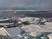 ��������� ������������ ��������� ���� �������