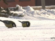 ���������� ����� ���������� �������� ������� ��� ������������ �������