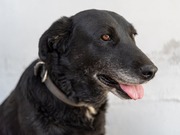 ���������� �������� �� ������ ��������� �������