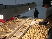 ����� ���������� ������ ������������� ����� ������ ������