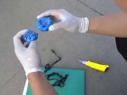 ����� �� ������: ������ �������� ���������� ��������� � ��������