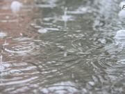 � ������������ ������� ��������� ���� ����� �� ��������