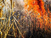 ���� �������������� ����� � ������������ ����