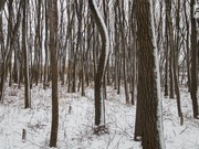 � ������������ ������� ������� ����� ������� ������ ��������