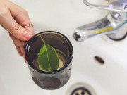 � ����� ������������ ����� ���� ����� �� ����� ����