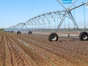 ��������� ��������� ������� ��������� � ������������ ������