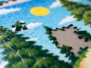 ������� ���� ��������