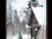 ���� � ������������ ������� �������� � �������� �����������