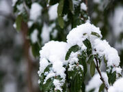 � ������������ ������� �������� ����������� ����������� ��� ������