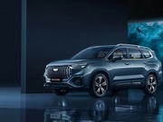   Geely      Geely Auto Trader  