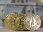 ��� ������������ �������������� � �������� � 224 ��� �������� � 5 ��� �������������