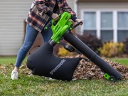 Greenworks   - GD60BVII     