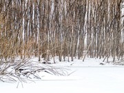 ������������ ������� ������ ���������� � �����