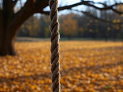 ���������� �������� �� ����� �� ������