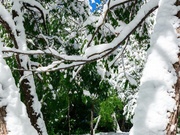 ������ ���� � ����� �� ������ ������������ � ������ � ���������