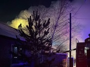 ����������� ������� ����������� �� �������� ���� � ������������ �������