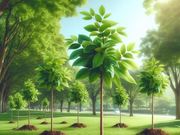 ��� � ���� ���� � ��������� ������ ������� ������� �� �����