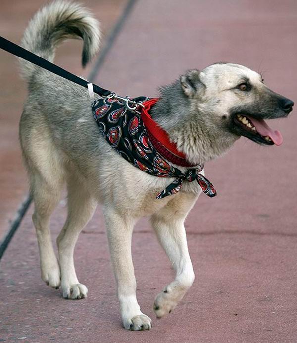 � ������� �� �������� 