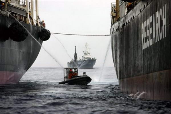  Greenpeace    Nisshin Maru