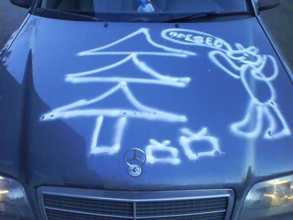 ��� ������ � �������� �������� ���������