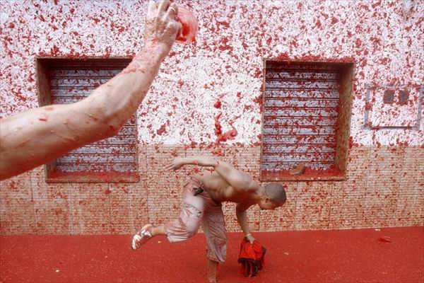     (La Tomatina)  