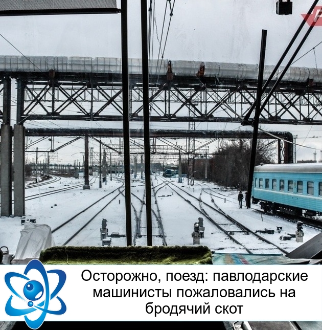 ���������, �����: ������������ ��������� ������������ �� �������� ����