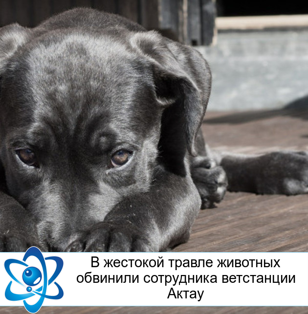 � �������� ������ �������� �������� ���������� ���������� �����