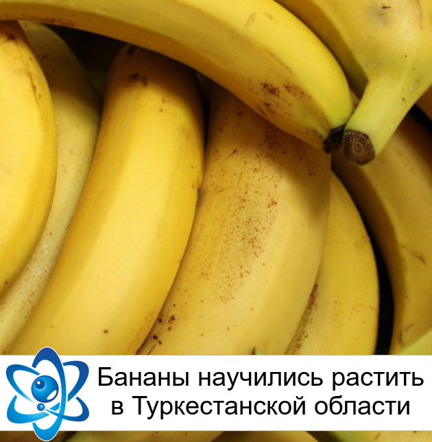 ������ ��������� ������� � ������������� �������