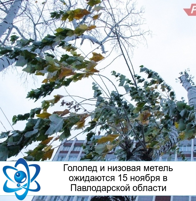 ������� � ������� ������ ��������� 15 ������ � ������������ �������