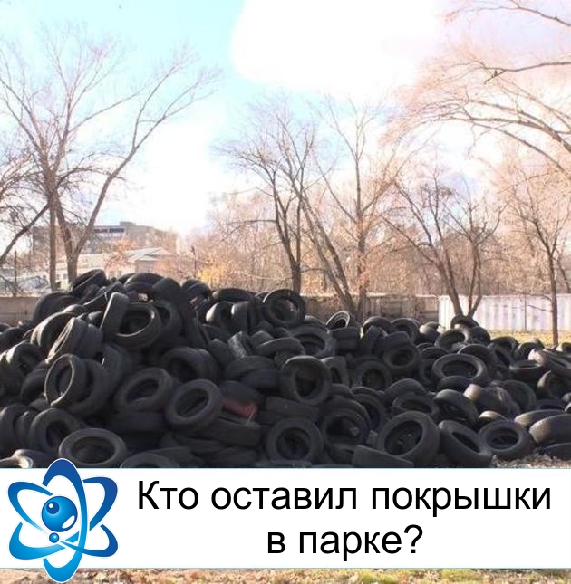 Кто оставил покрышки в парке?