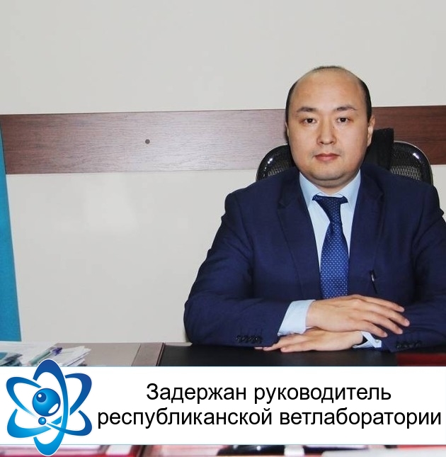 �������� ������������ ��������������� ��������������