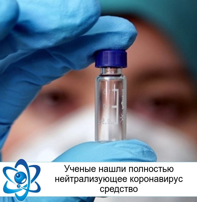 Ученые нашли полностью нейтрализующее коронавирус средство