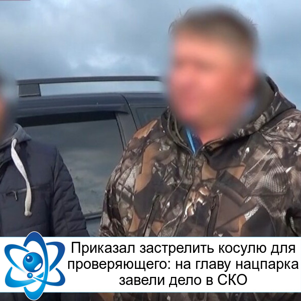 �������� ���������� ������ ��� ������������: �� ����� �������� ������ ���� � ���