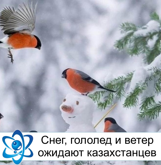 ����, ������� � ����� ������� ������������