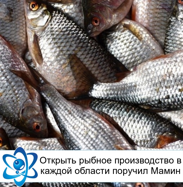 ������� ������ ������������ � ������ ������� ������� �����