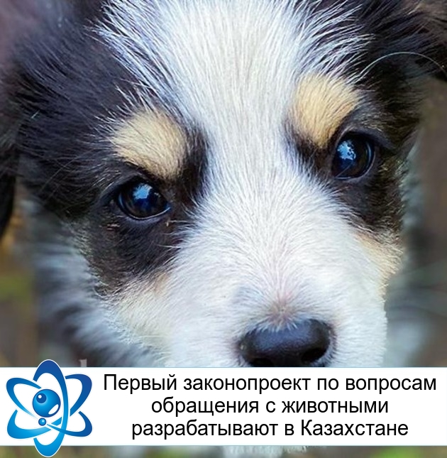 ������ ������������ �� �������� ��������� � ��������� ������������� � ����������