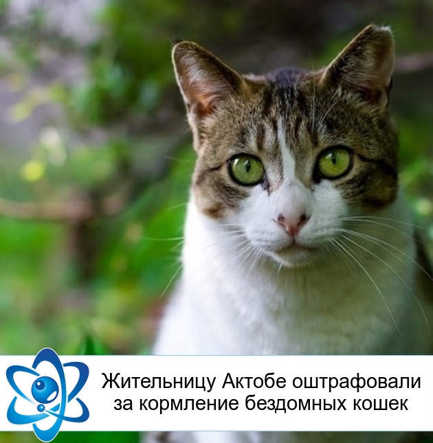 ���������� ������ ����������� �� ��������� ��������� �����