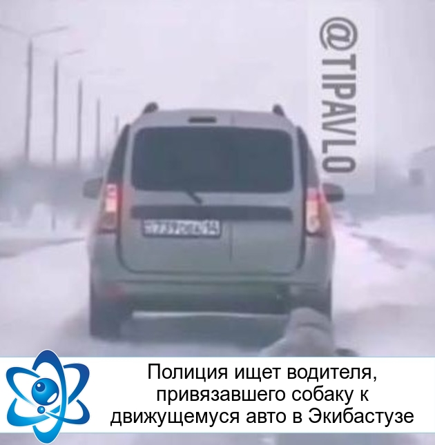 ������� ���� ��������, ������������ ������ � ����������� ���� � ����������