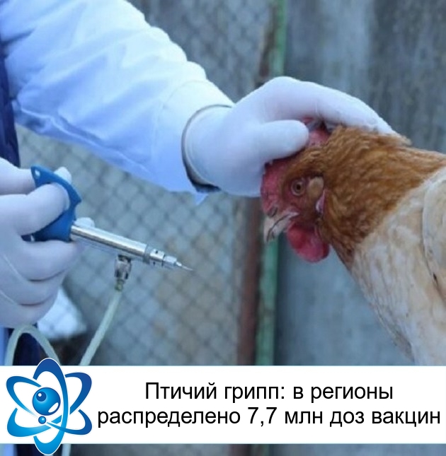 ������ �����: � ������� ������������ 7,7 ��� ��� ������