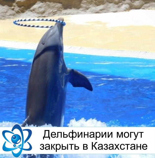 ����������� ����� ������� � ����������