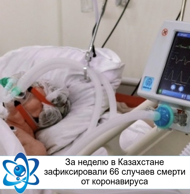 �� ������ � ���������� ������������� 66 ������� ������ �� ������������