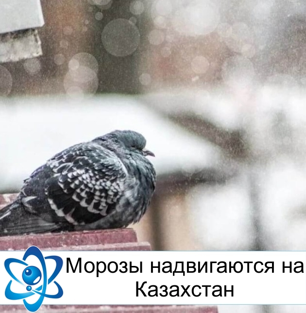 ������ ����������� �� ���������