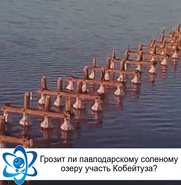 ������ �� ������������� �������� ����� ������ ���������?