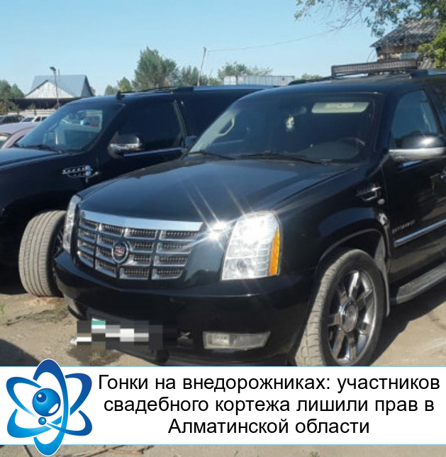 ����� �� �������������: ���������� ���������� ������� ������ ���� � ����������� �������