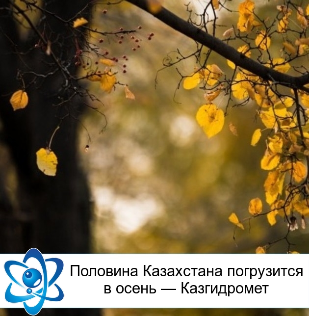 �������� ���������� ���������� � ����� � �����������